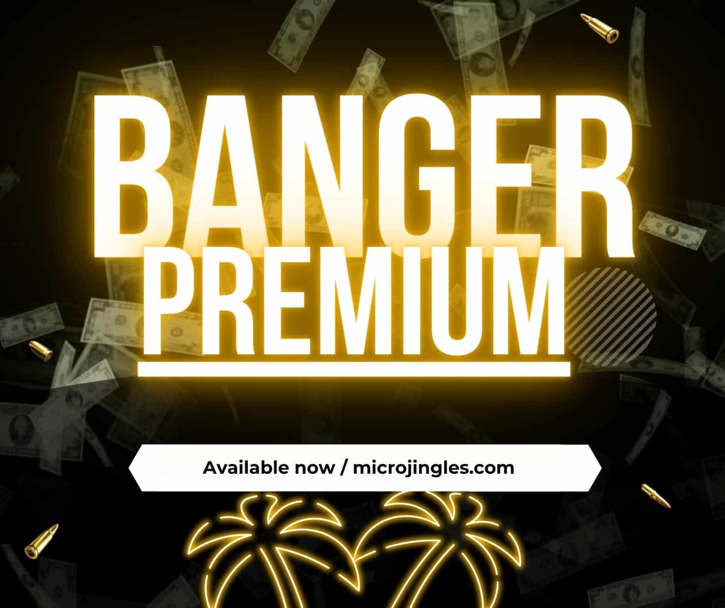 Banger DJ Drops - Premium Pack - 50% OFF